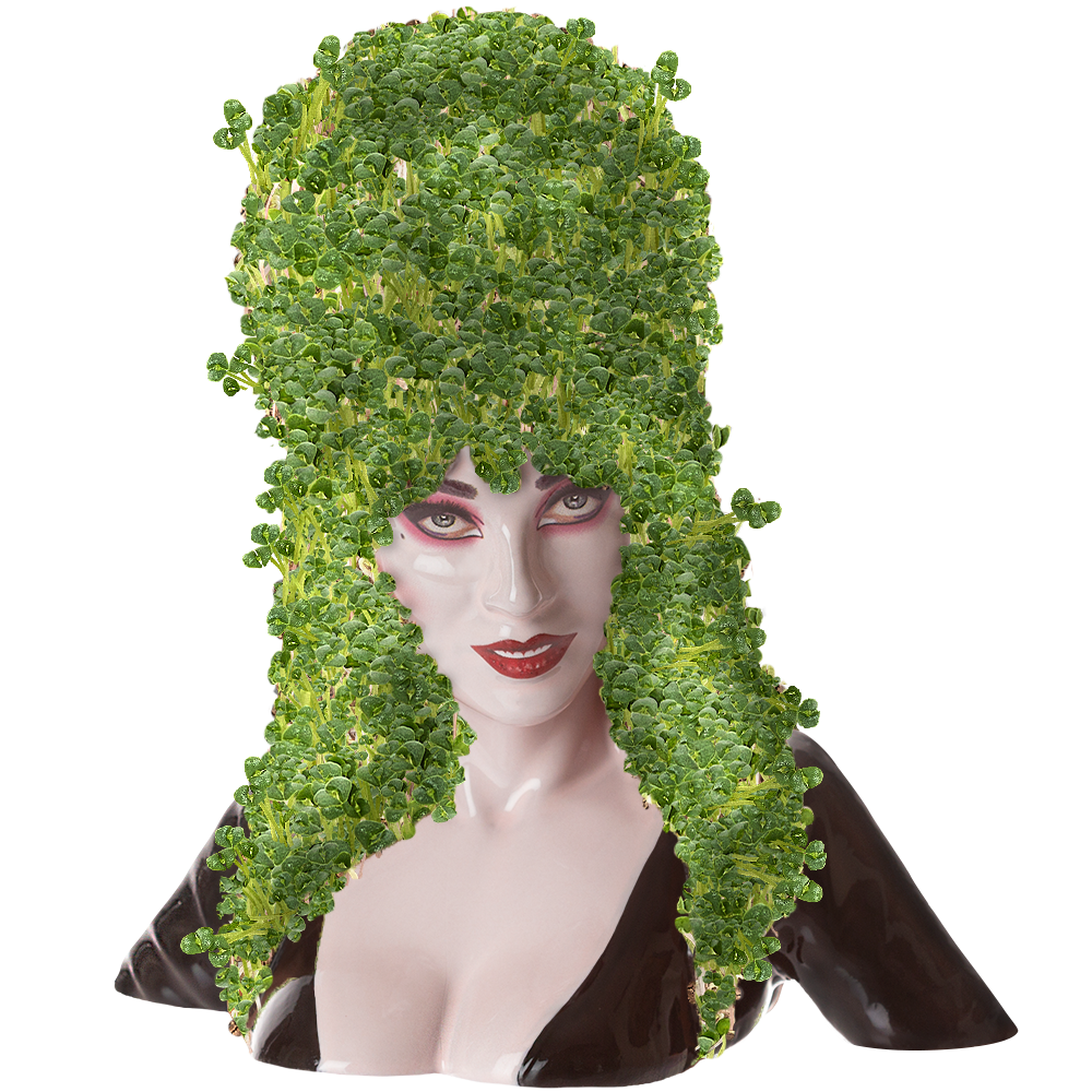 Elvira Mistress of the Dark Chia Pet