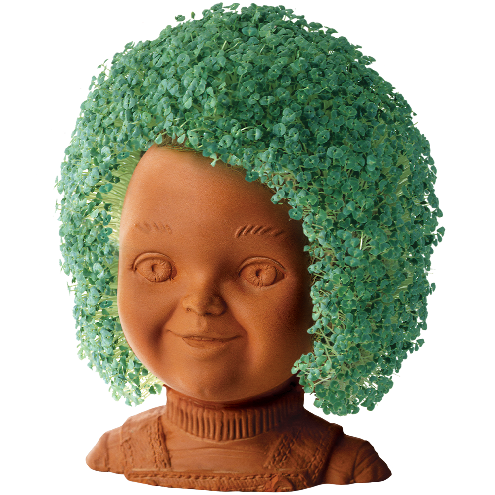 Child's Play Chucky Doll Chia Pet