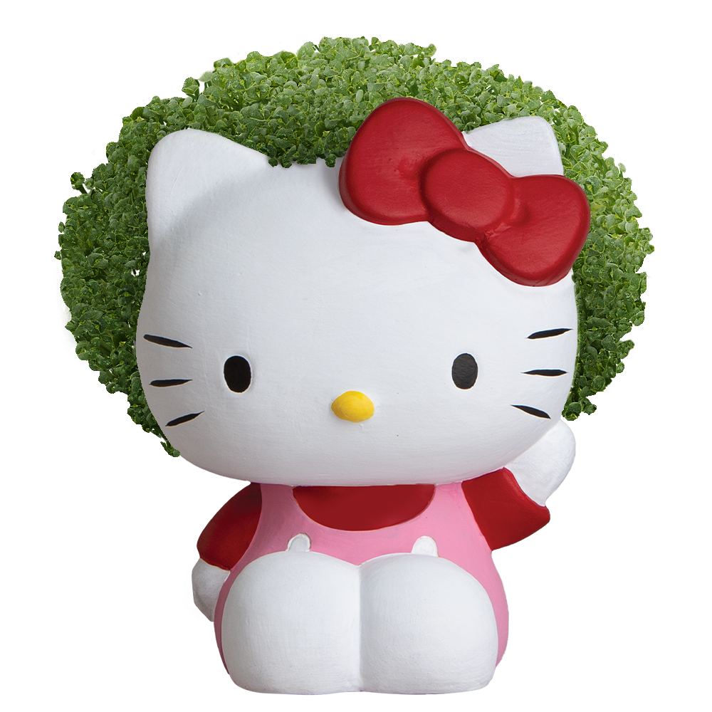 Hello Kitty Chia Pet