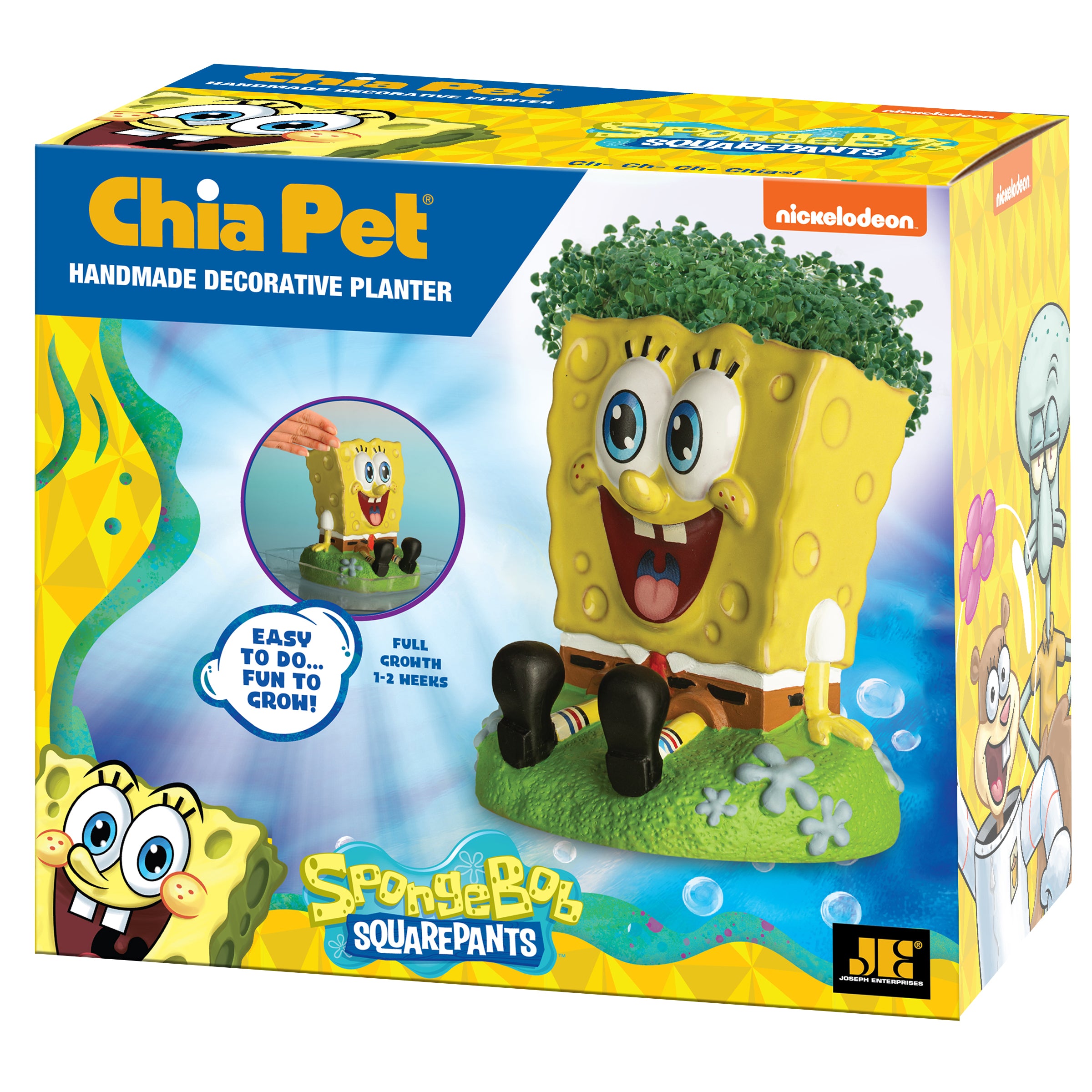 SpongeBob SquarePants Chia Pet - Image 7