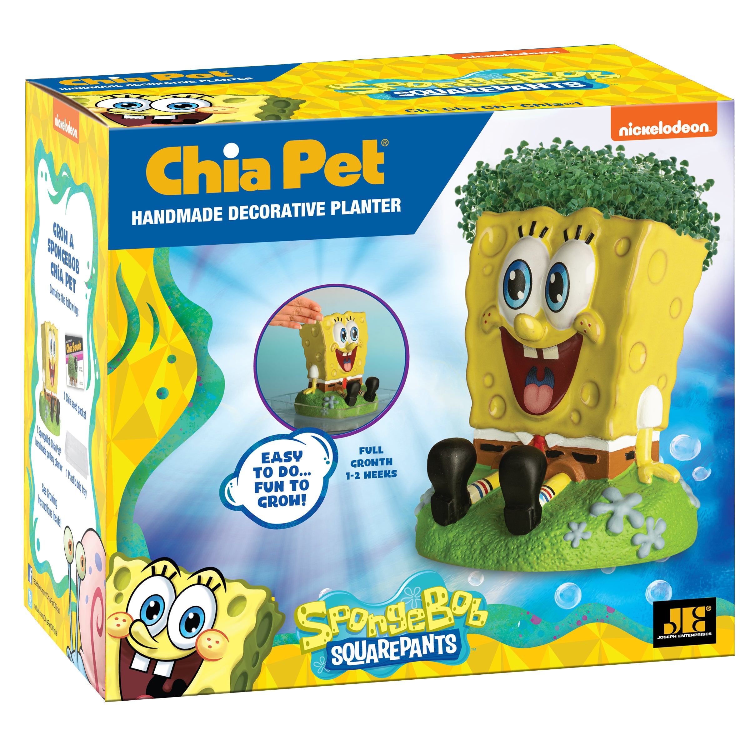 SpongeBob SquarePants Chia Pet - Image 5