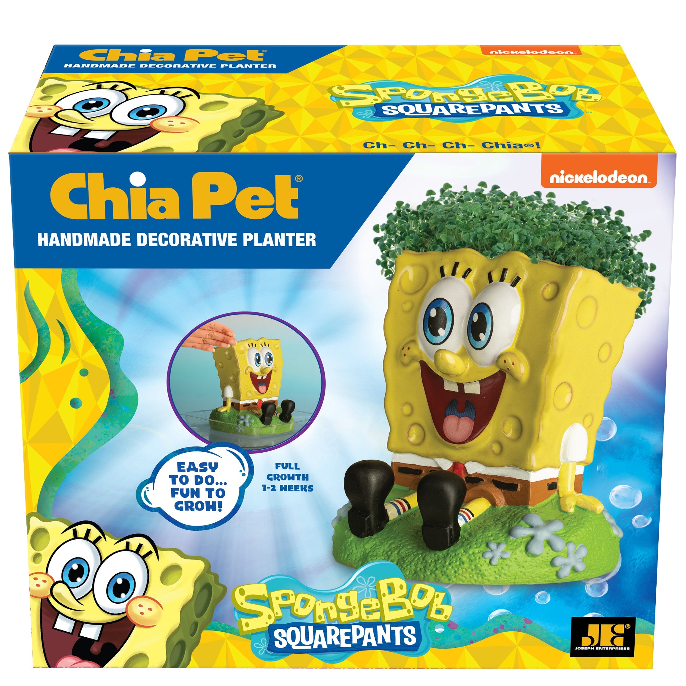 SpongeBob SquarePants Chia Pet - Image 6