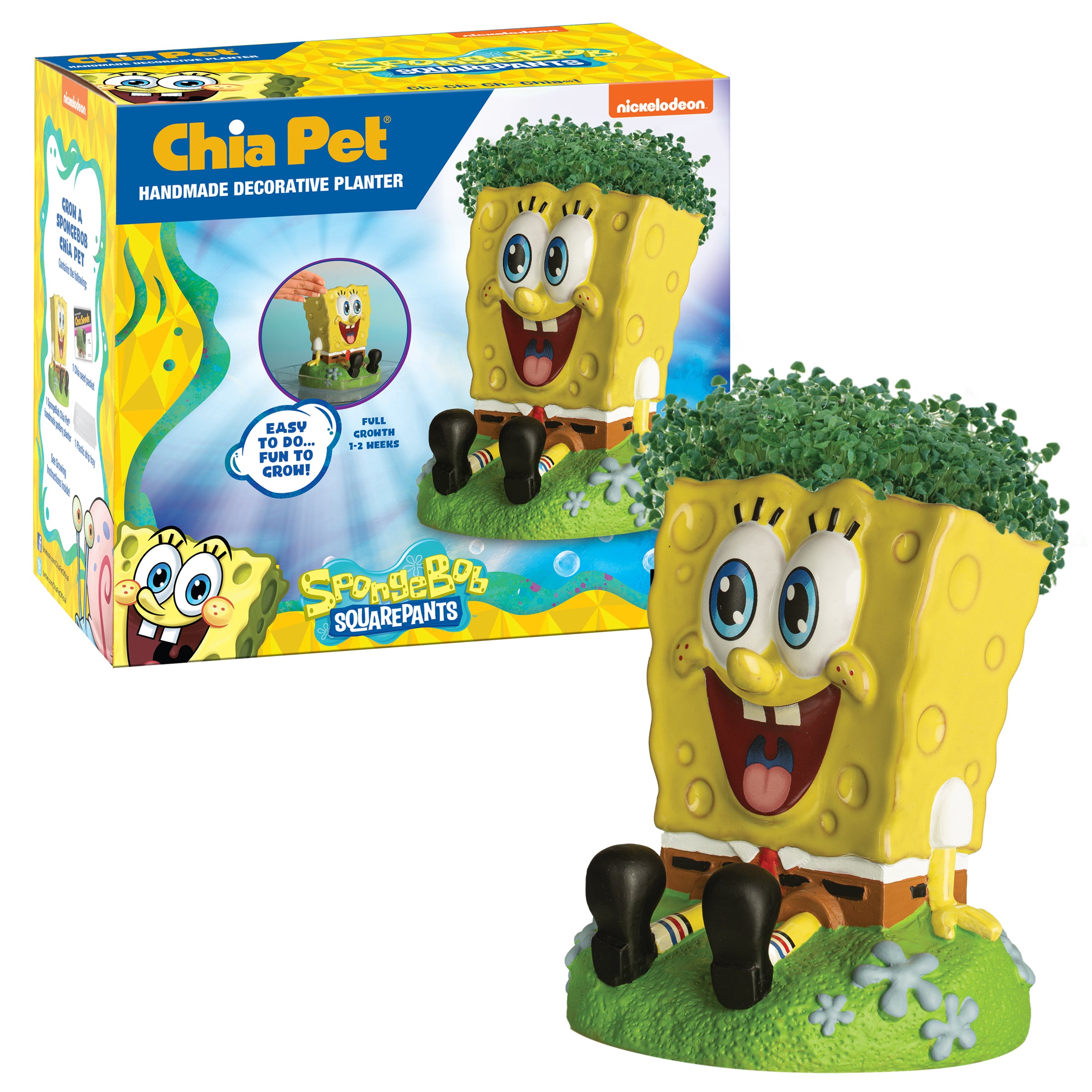 SpongeBob SquarePants Chia Pet - Image 4