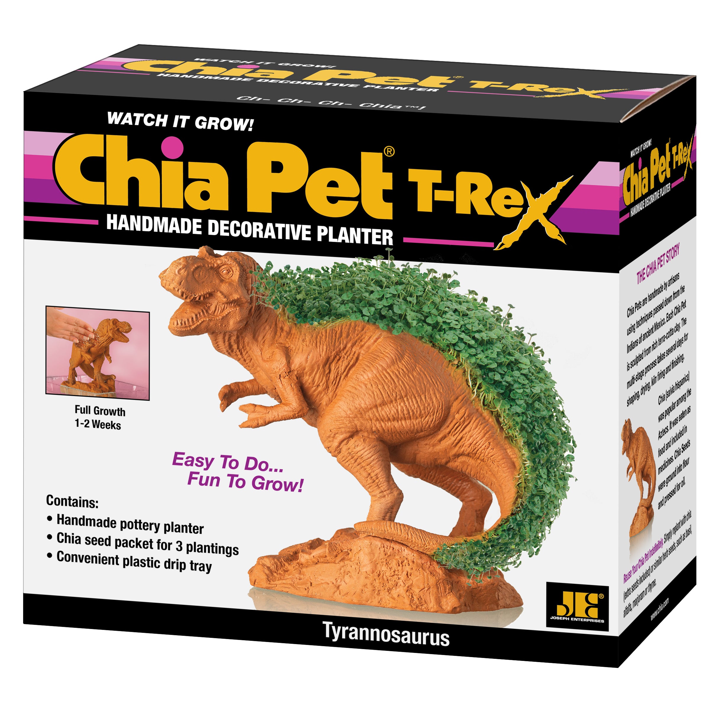T-REX Chia Pet - Image 7