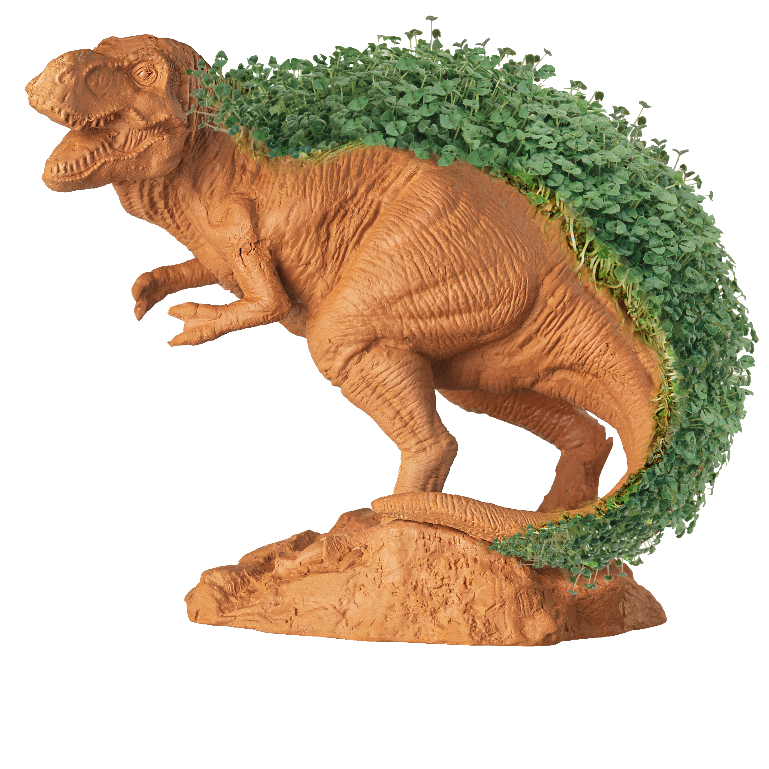 T-REX Chia Pet