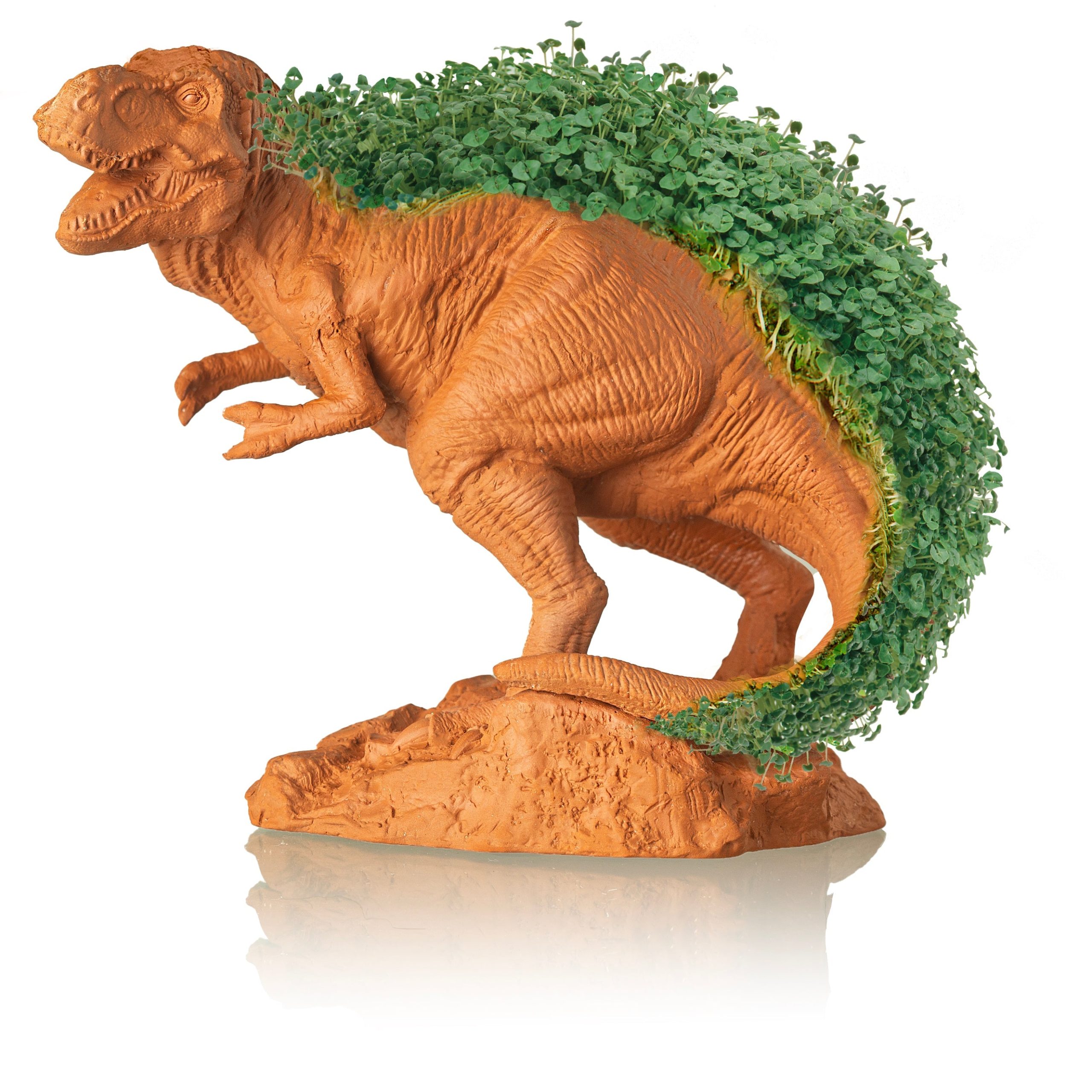 T-REX Chia Pet - Image 3