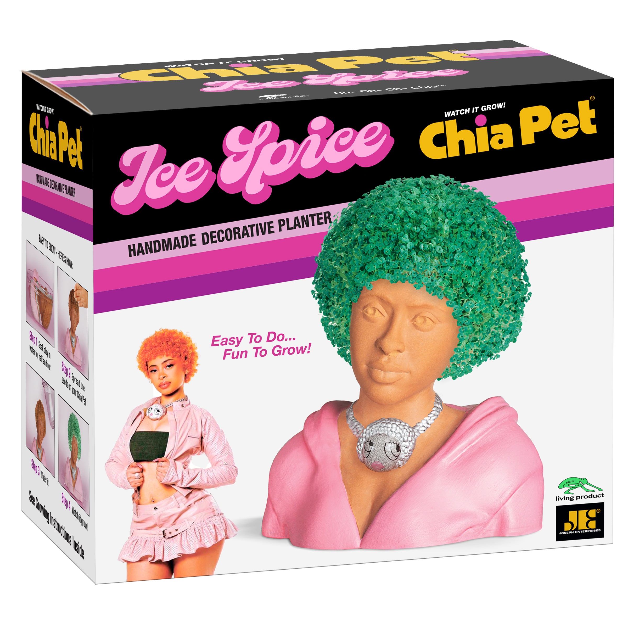 Ice Spice Chia Pet - Image 5