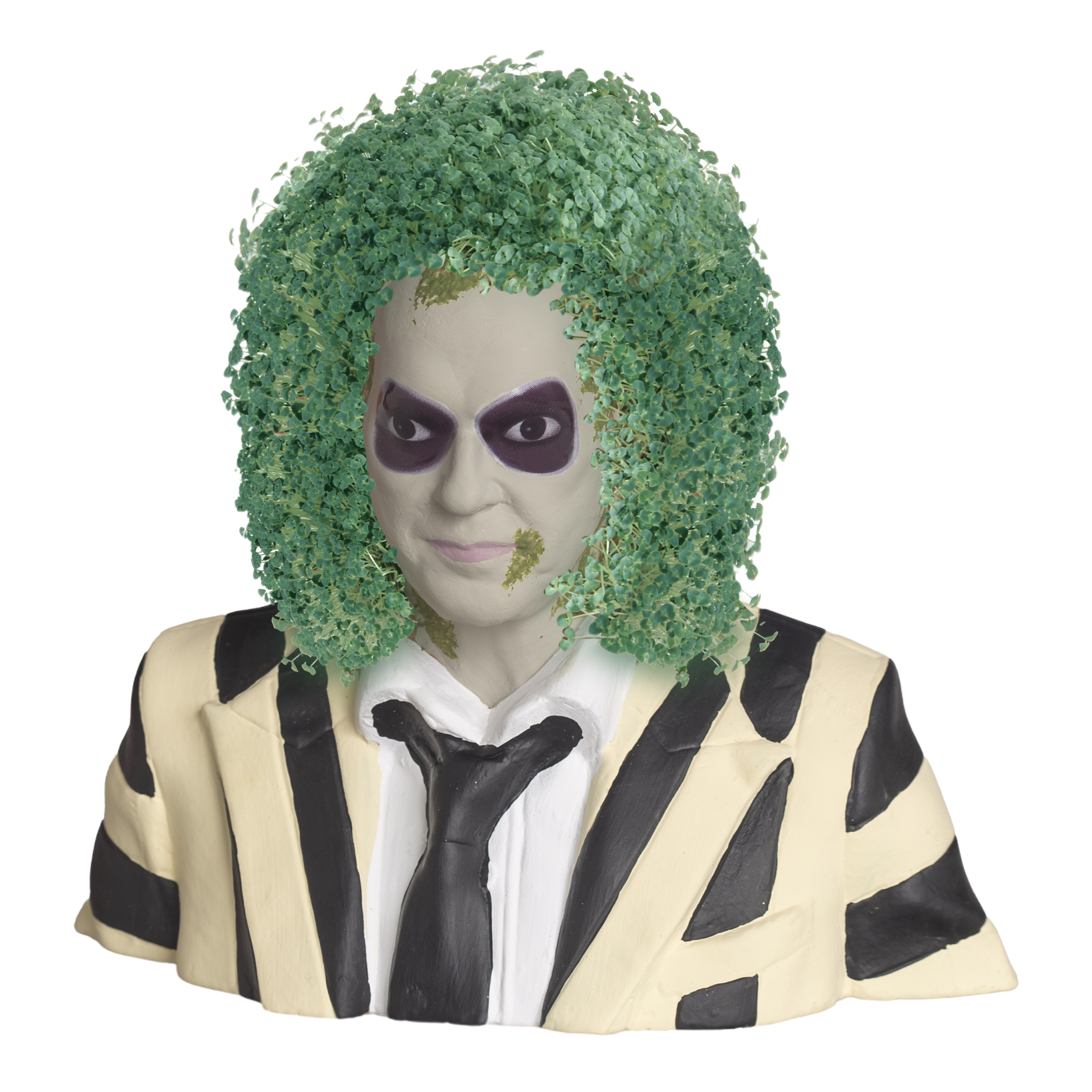 Beetlejuice Chia Pet