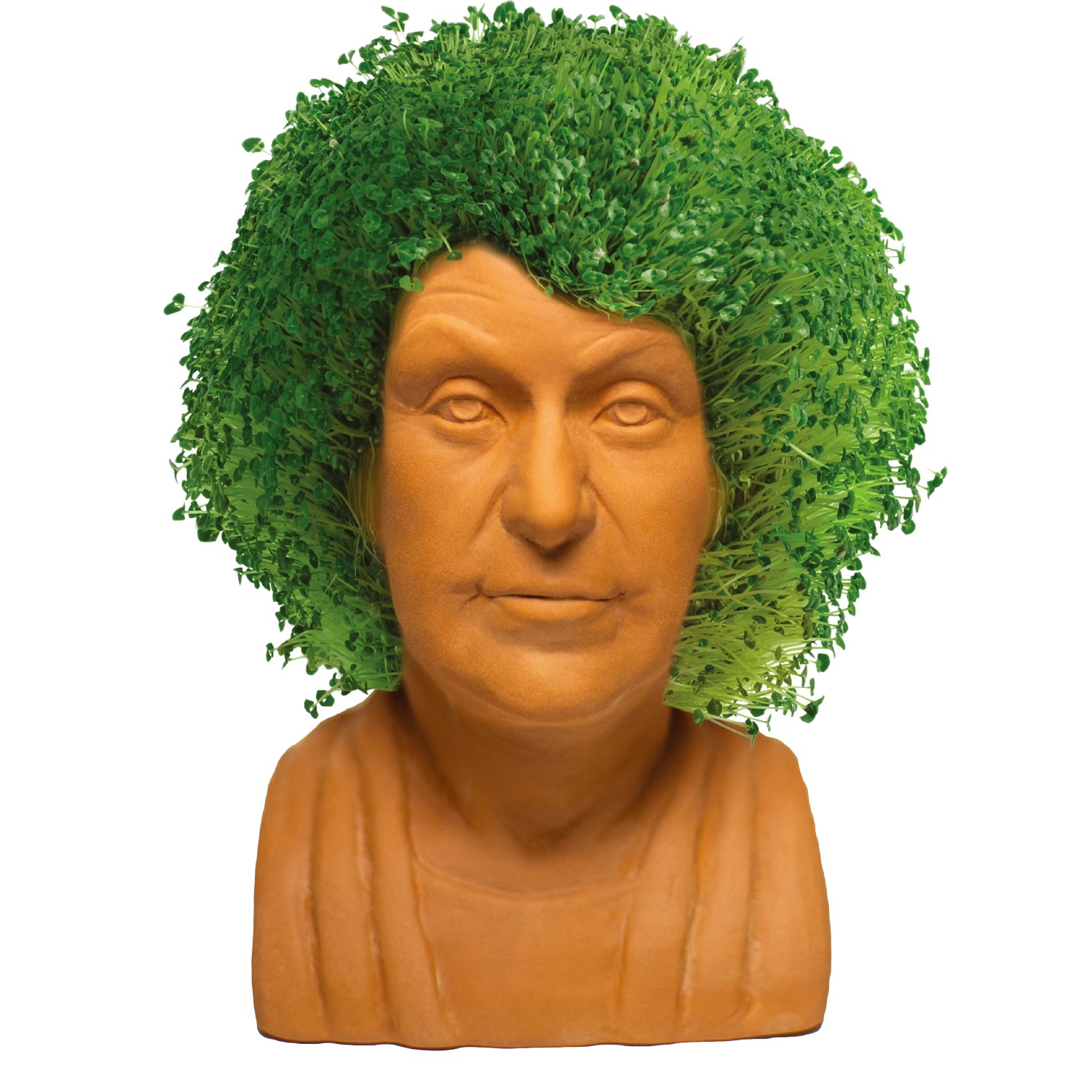 The Golden Girls Dorothy Chia Pet - Image 4