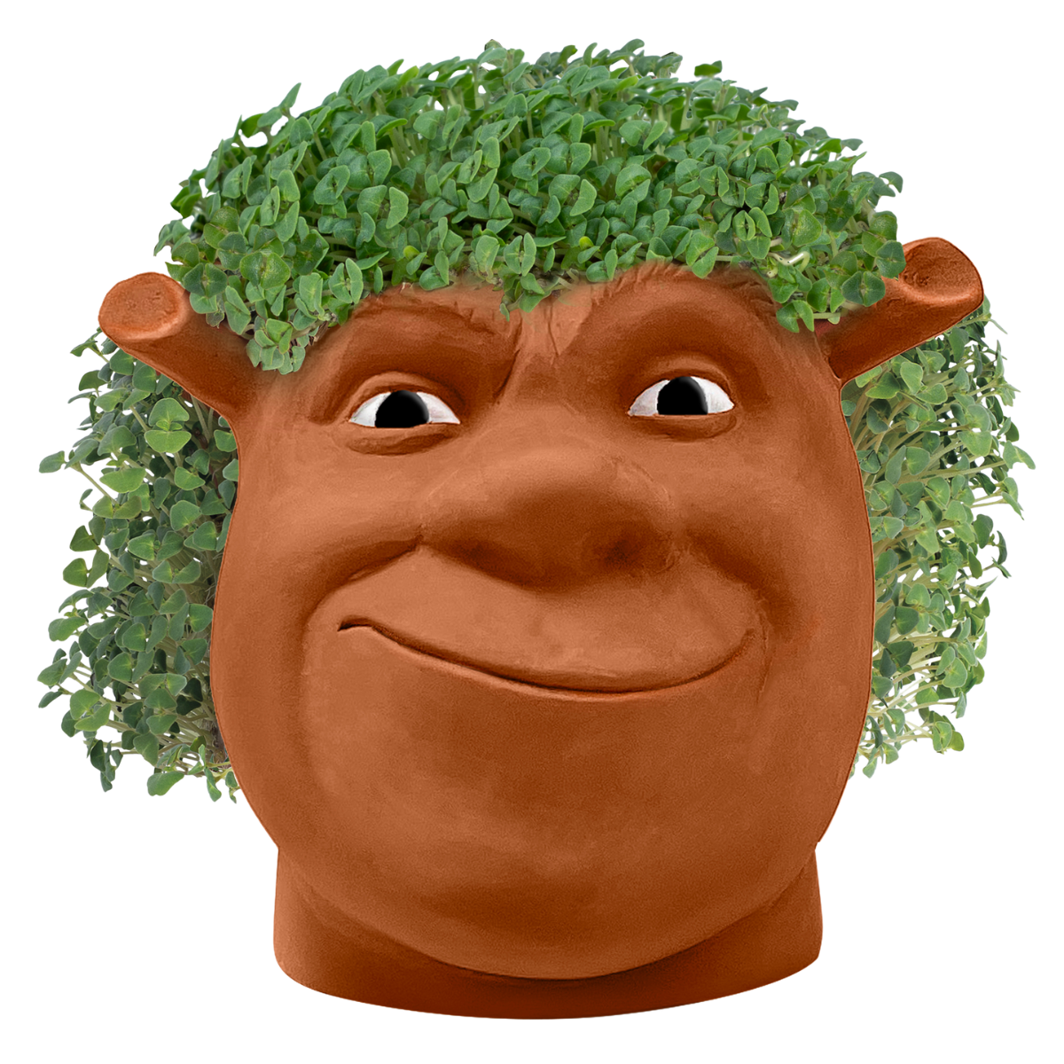 Shrek Chia Pet