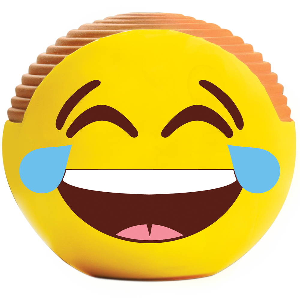 Emoji Tears of Joy Chia Pet - Image 3