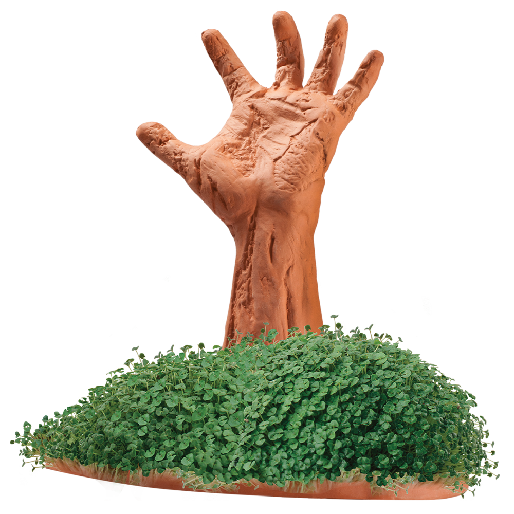 Zombie Restless Arm Chia Pet