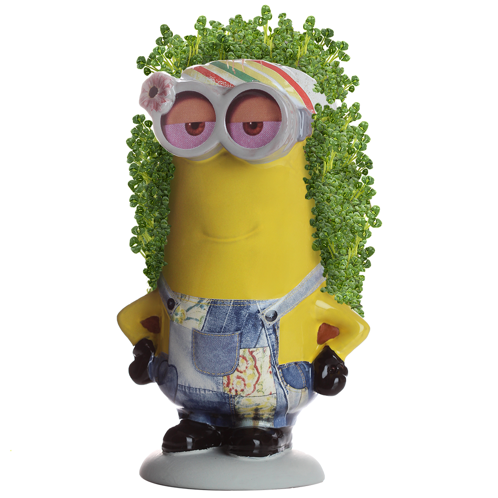 Minions Kevin Chia Pet