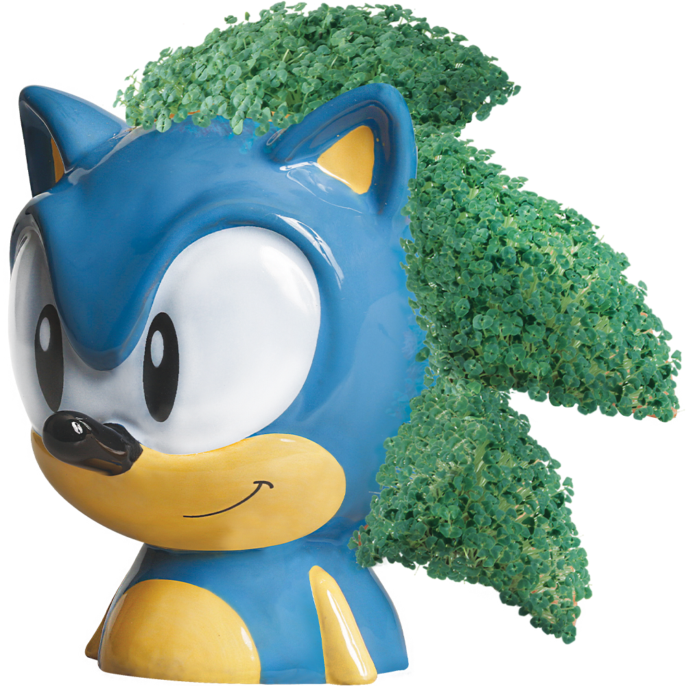 Sonic the Hedgehog Chia Pet