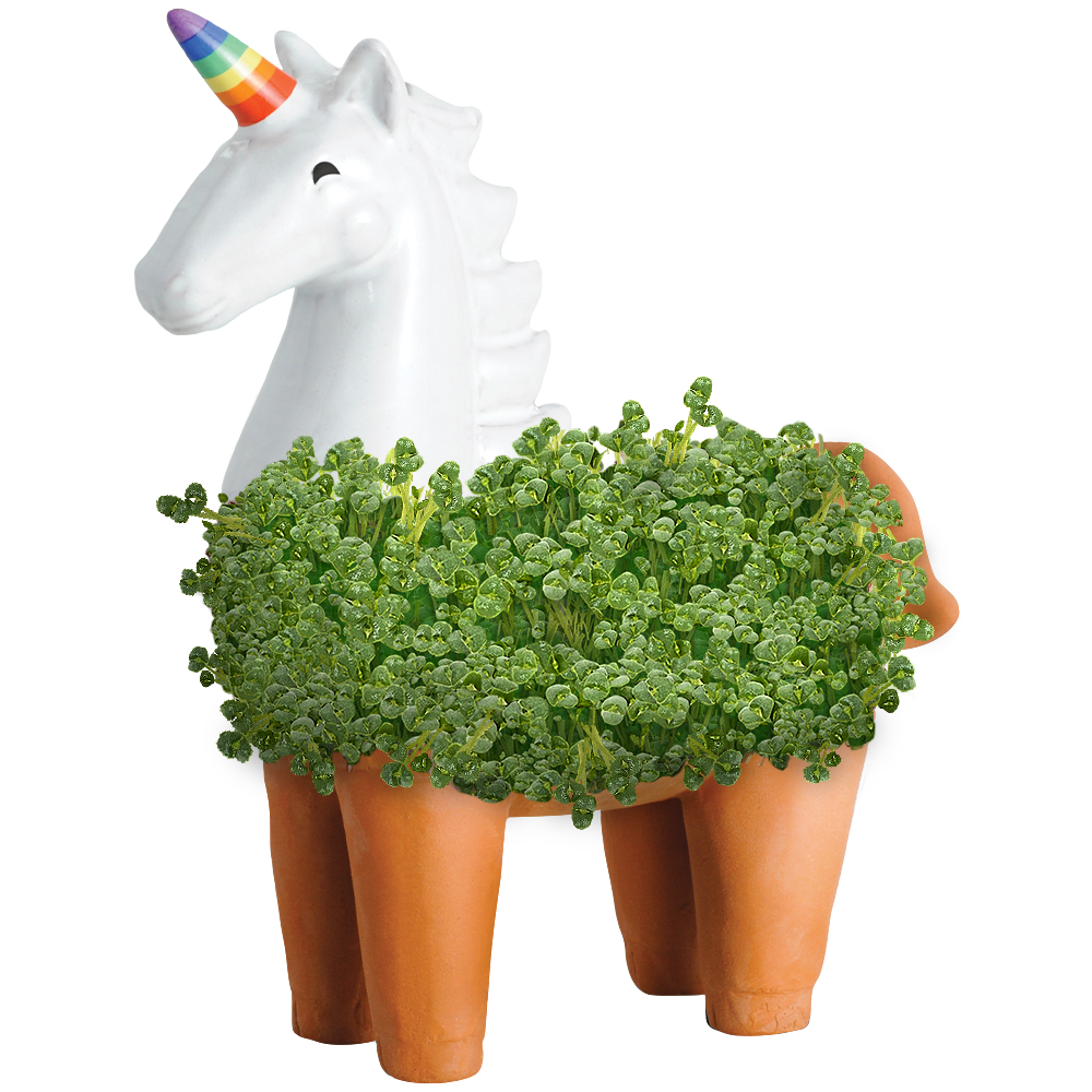 Unicorn Chia Pet