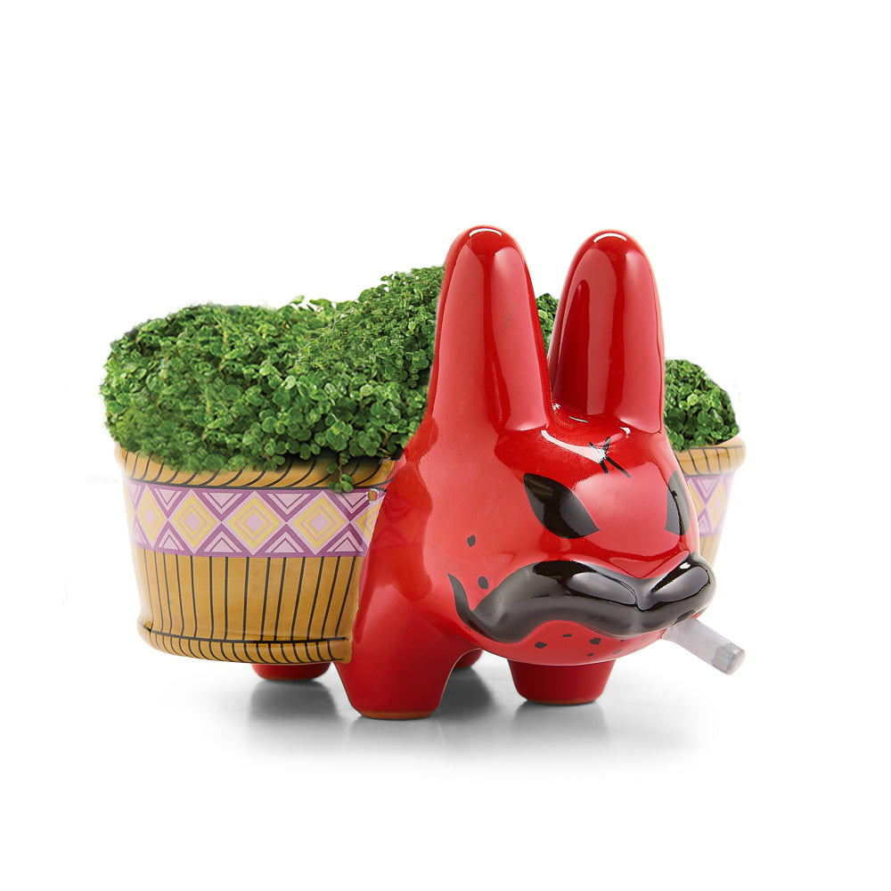 Chia Pet Smorkin' Labbit - Smokin' Red Edition (Limited Edition of 1000)