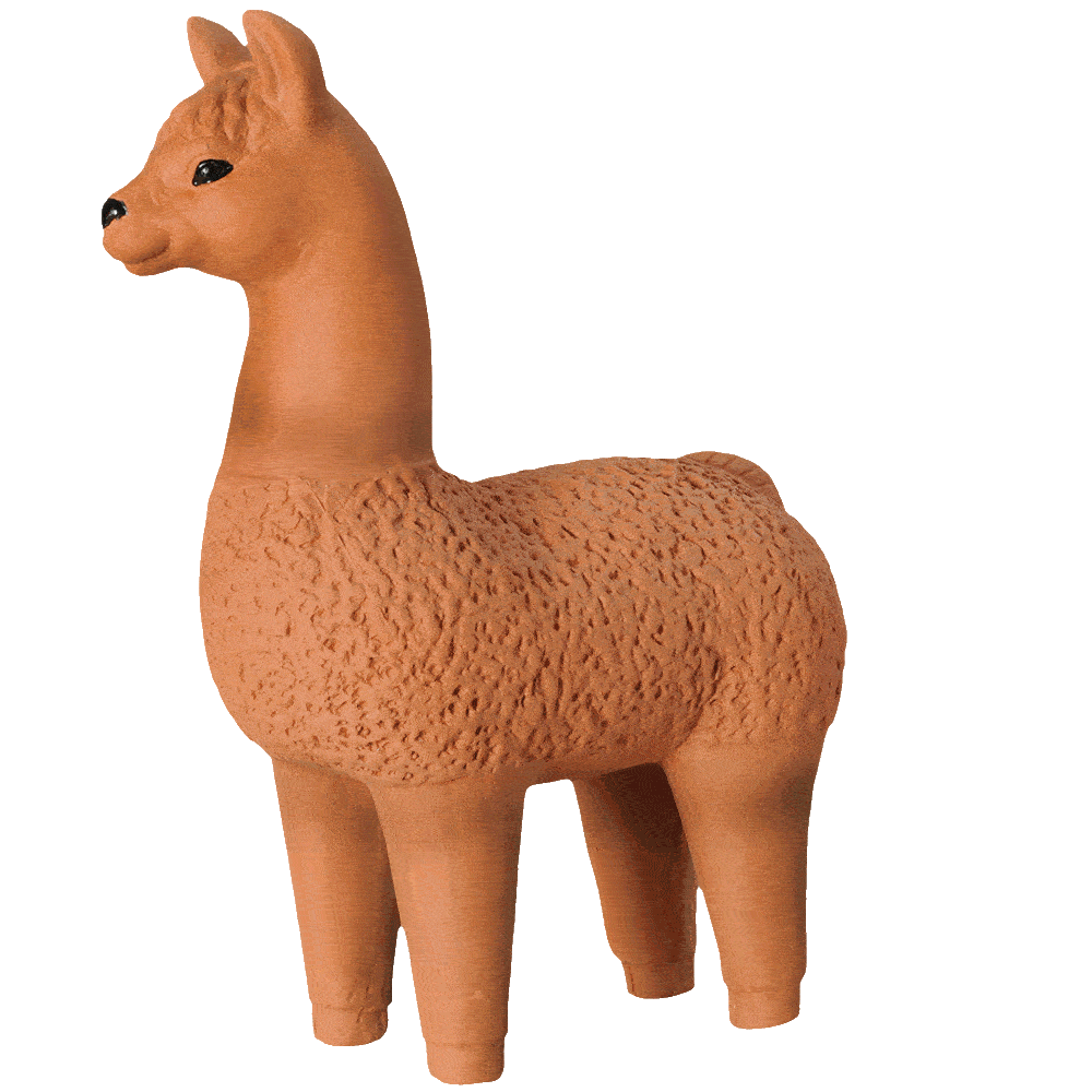 Alternative view of Classic Llama Chia Pet
