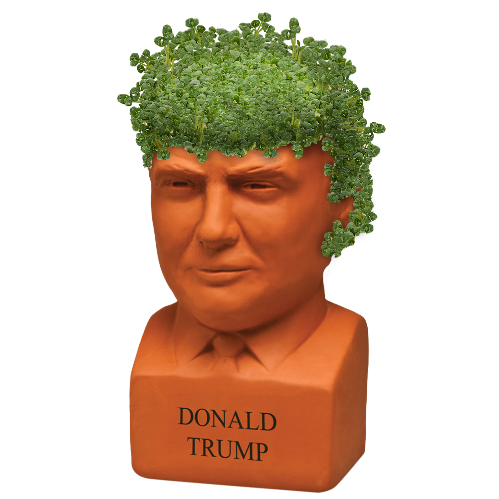 Donald Trump Chia Pet