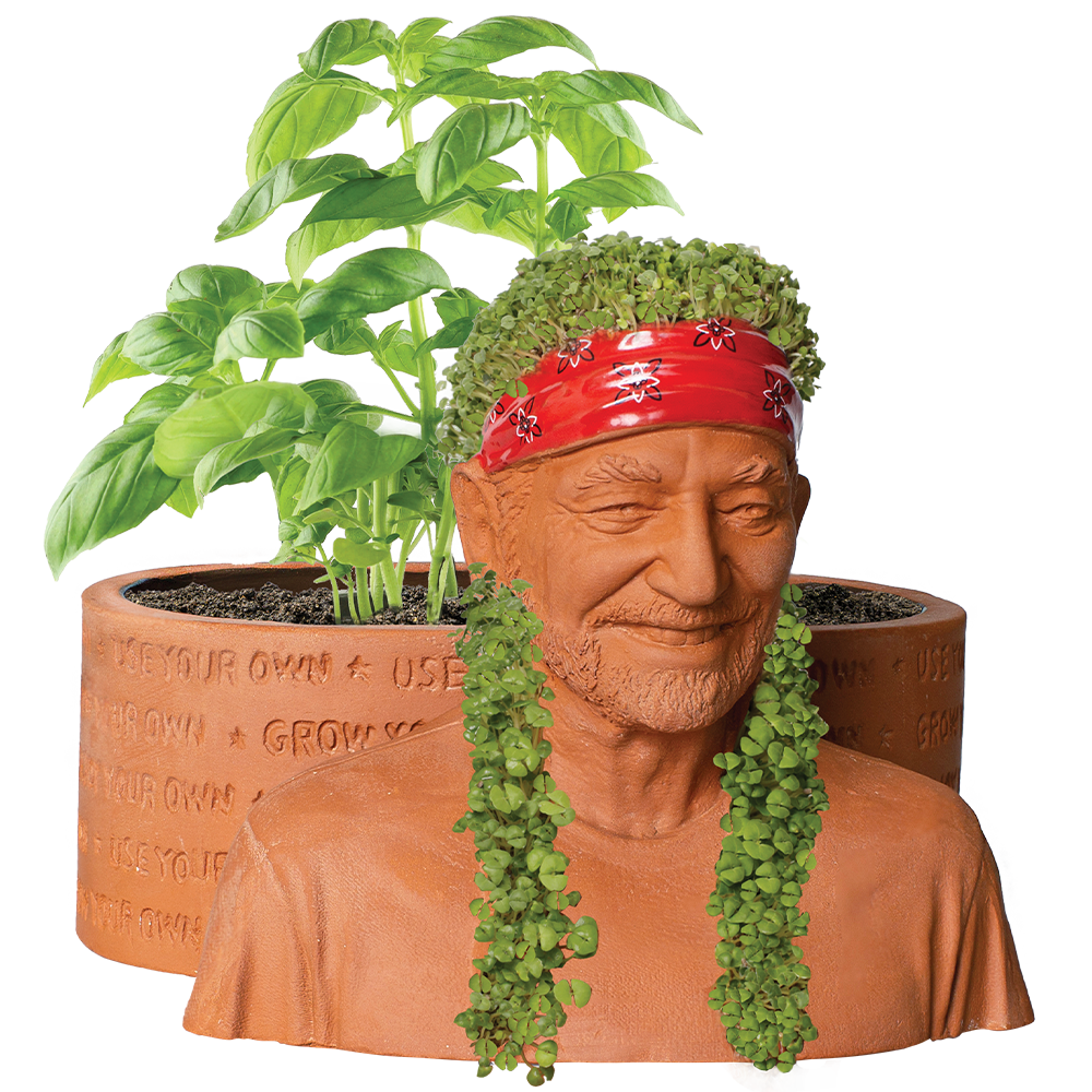 Alternative view of Willie Nelson Chia Pet Herb Planter