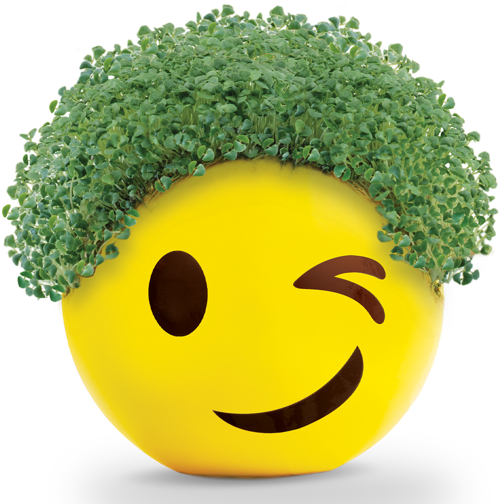 Emoji Winky Chia Pet