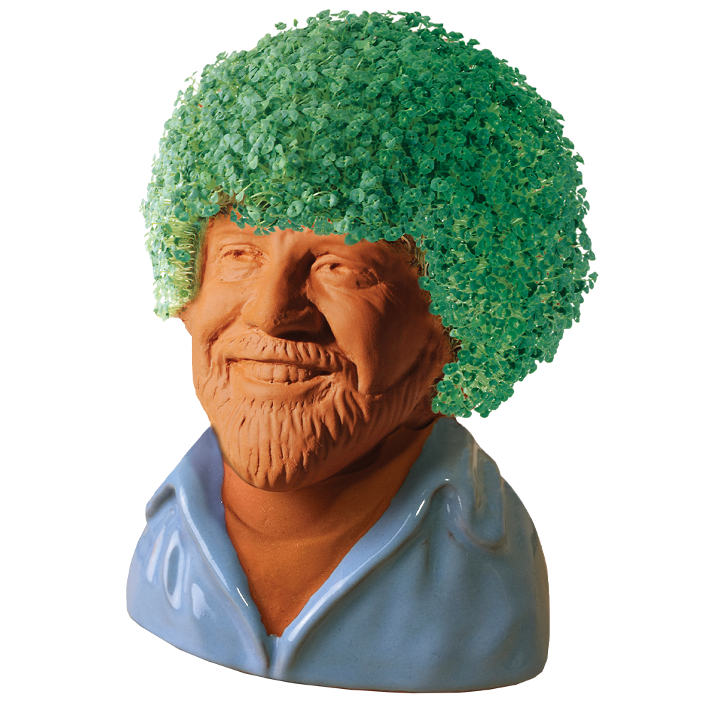 Bob Ross in Blue Shirt Chia Pet