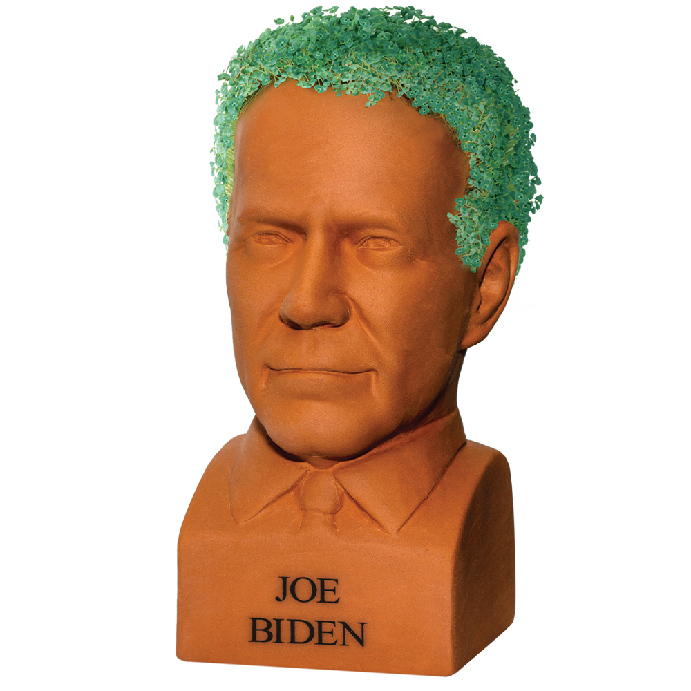 Joe Biden Chia Pet