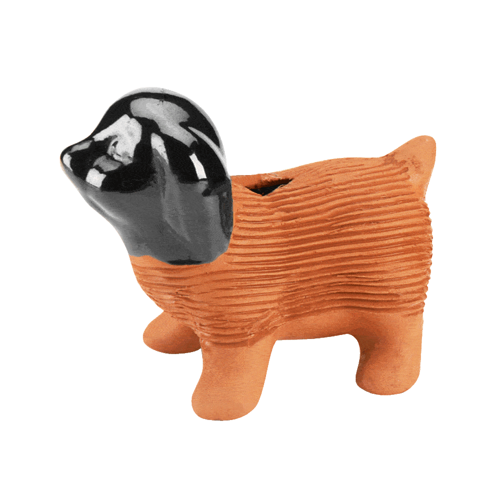 Alternative view of Original Puppy Chia Pet