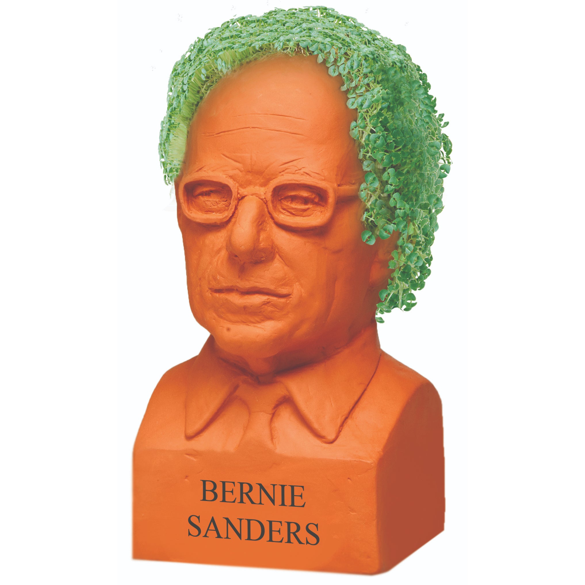 Bernie Sanders Chia Pet