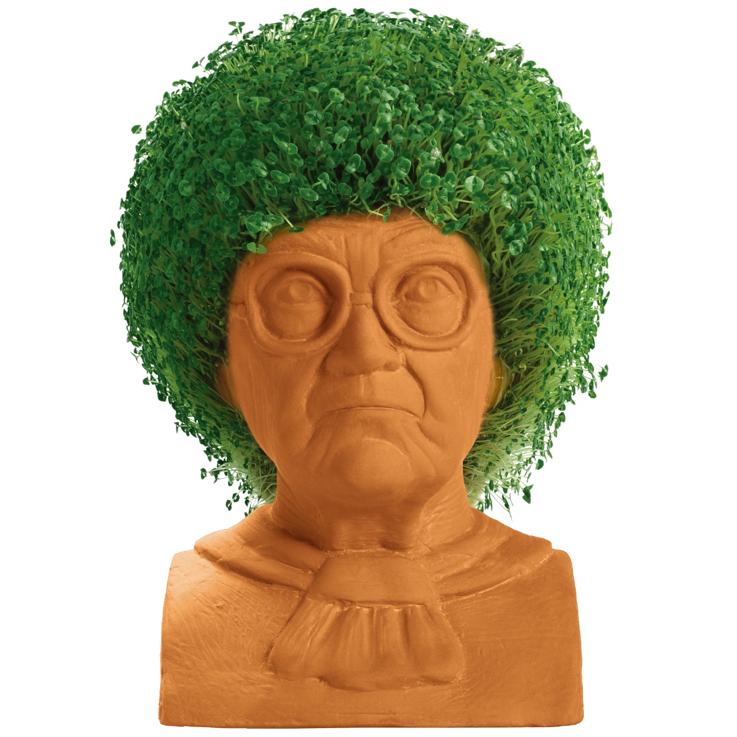 The Golden Girls Sophia Chia Pet - Image 4